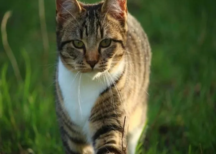 Holiday home Cozy Riverside Escape